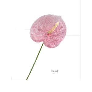 Fleurs en soie imprimées en 3D de haute qualité, simulation rose, pour décoration de <span class=keywords><strong>mariage</strong></span>, chapelle, plafond, allée, accessoires de photographie extérieure - Product Image 5