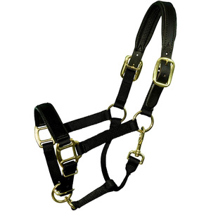 Cavezza staccata imbottita in Nylon regolabile in pelle tessitrice - Product Image 1