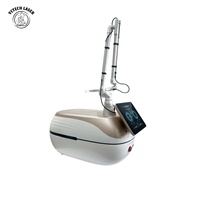 Machine PicoSecond Portable à Succès Commercial 532nm 785nm 1064nm Équipement Réfrigération Air+Eau+Semiconducteur avec CE OEM