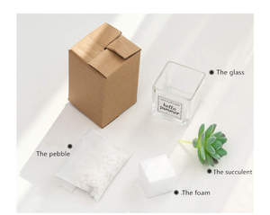 QSLHC821 Commercio All'ingrosso <span class=keywords><strong>Mini</strong></span> Artificiale di Plastica <span class=keywords><strong>Piante</strong></span> Succulente con vaso di Vetro - Product Image 5