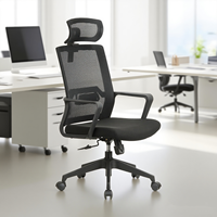 Chaise de bureau ergonomique en maille noire, vente directe d'usine en Chine, hauteur réglable, vérin à gaz chromé, garantie 5 ans, style moderne exécutif
