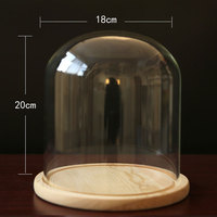 Vente en gros Terrarium en borosilicate clair vide soufflé à la main cloche en verre Cloche dôme en verre avec base en bois écologique