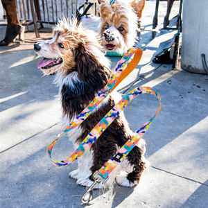 สายจูงสุนัข <span class=keywords><strong>Kingspeed</strong></span> รุ่นหรูหรา ทำจากไนลอน พิมพ์ลายภาพวาดสีน้ำมันแบบขนนก ปรับแต่งได้ หลายสี ขนาด S สำหรับลูกสุนัข - Product Image 3