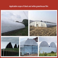 Système d'occultation entièrement automatique pour serres agricoles, idéal pour la culture de chanvre et de champignons