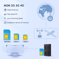 Carte SIM Spionlink 30 Mo de Données 2G 3G 4G Roaming M2M IOT Cartes SIM Internationales Globales pour Traceur GPS