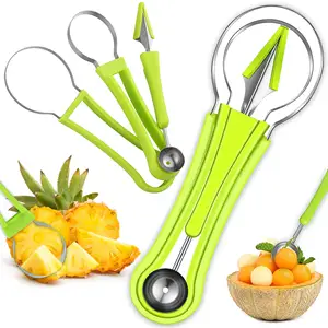 Stainless Steel Fruit Scooper Remover Cutter Fruit Slicer