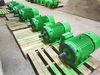 Moteur à courant alternatif triphasé NEMA Premium Efficiency 300HP 208-230/460V IP54 avec boîtier en fonte, facteur de service 1.15, type C, inverseur IE4