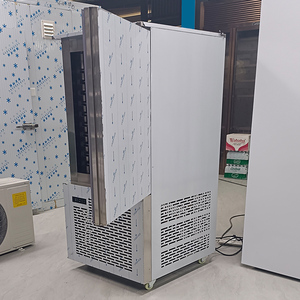 Düşük fiyat mutfak soğutma ekipmanları dondurma balık Blast <span class=keywords><strong>Chiller</strong></span> 10 tepsi hava soğutma Blast dondurucu paslanmaz çelik buzdolabı - Product Image 5