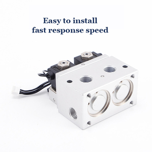 Électrovanne pour générateur d'oxygène 4 voies 2 positions G 1/4" 12V 24VDC pour le contrôle de l'oxygène - Product Image 1