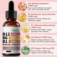 Gotas Líquidas de Complejo Vitamínico B de Marca Privada OEM, 60 ml, con B12, B6, B1, Niacina y Folato para Energía y Apoyo Inmunológico