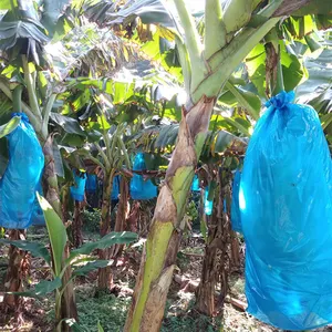Muz koruma çanta tarım çantası bitkiler için plastik poşetler tarım için