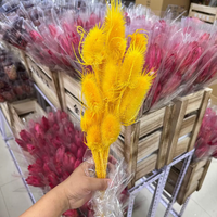Bunga Teasel Thistle Alami Awet untuk Dekorasi Pernikahan dan Rumah (Grosir)