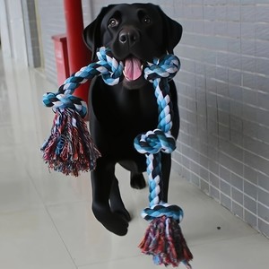 manufacturer direct teeth grinding cleaning self fun bite relaxation pet dogs bite braided <b>ropes</b> toys - Product Image 2