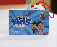 Kartu kosong PVC curah