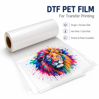 Film PET DTF de transfert thermique de qualité supérieure pour t-shirts et textiles en coton et polyester
