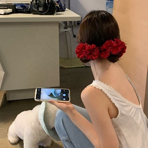 Nouvelles Élastiques à Cheveux en Satin à Nœuds Français, Élégantes et Faites à la Main, Grandes et Petites, Couleurs Unies, Vente en Gros - Product Image 5