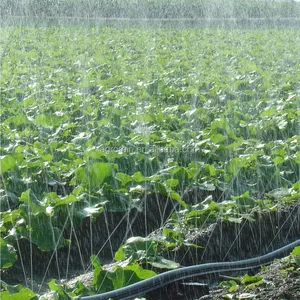 Fabbrica Diretta 1 pollici a 2 pollici Agricoltura Frutta PE Sprinkler A Spruzzo Tubo Nastro per l'irrigazione