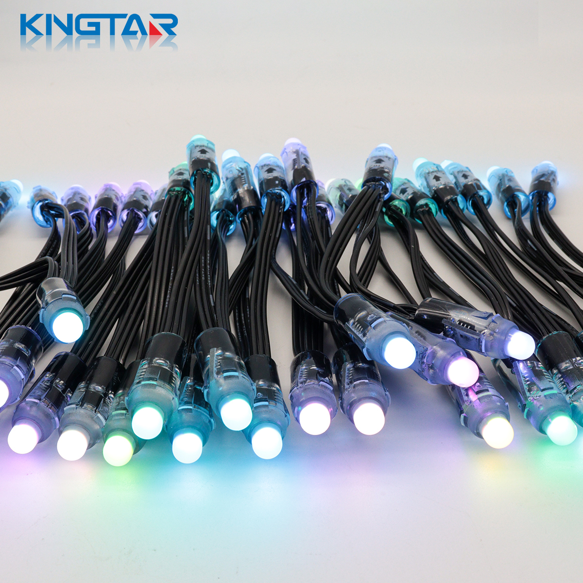 Outdoor IP68 Waterproof DC24V 12mm LED Pixel Point Lights Smart RGB PVC Programmable Dot Light Strings Landscape Lighting