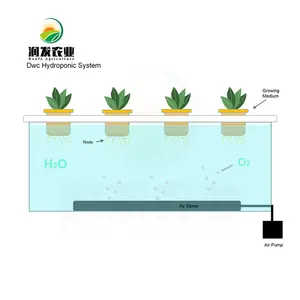 浮筏的水培Dwc食品级