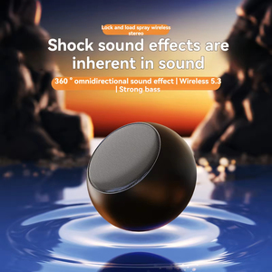 Altavoz Inalámbrico TWS de Alta Calidad con Bluetooth 5.0, Diseño Metálico Premium con Sonido Excelente, Fácil de Transportar - Product Image 6