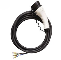 RTS vente en gros 5M Europe Standard câble de charge de véhicule électrique nouveau 16A monophasé 22kW