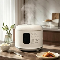 Grande cuve à riz électrique en acier inoxydable de 5,0 L avec maintien au chaud 8h, 7 modes, cordon d'alimentation séparé pour usage commercial et domestique
