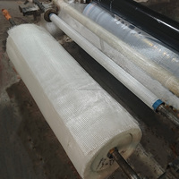 Rouleaux de Maille de Fibre de Verre Résistante aux Alcalis Certifiés CE pour le Plâtre et le Enduit en UE, 4*4 160Gr Maille de Fibre de Verre