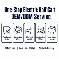 Nouvelle voiturette de golf électrique 4 places 60V homologuée pour la route 2+2 Club Car 35 km/h autonomie 80-100 km OEM ODM