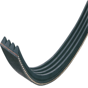 Courroie de transmission pour lave-linge - Product Image 2