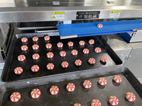 Machine automatique multifonction entièrement en acier inoxydable pour l'enrobage de biscuits et la formation de cookies
