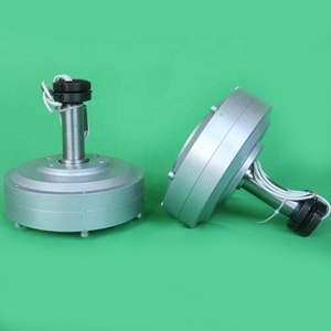 Alternateur PMG à aimant vertical sans noyau 100W 500 tr/min 12V 24V, générateur à rotor externe pour bricolage - Product Image 2