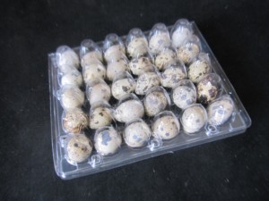 Bán Buôn 2 Hàng chục Chim Cút Pet Khay Trứng Nhựa Chim Cút Khay Trứng Nhà Sản Xuất 24 Chim Cút Khay Trứng - Product Image 6