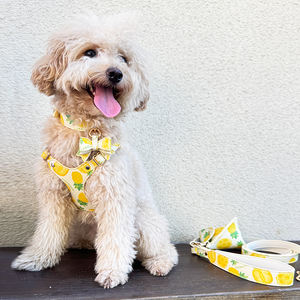 Venta al por mayor de arneses originales de moda imprimibles para mascotas, correas, collares para gatos y perros Suministros transfronterizos para mascotas - Product Image 6