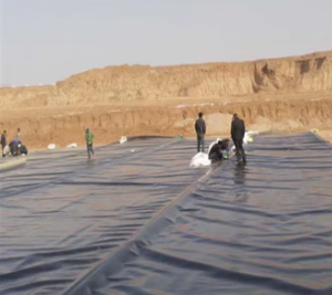 Geomembrane Industriali per Laghetti di Pesci da 0,25mm, 0,3mm, 0,5mm, 0,75mm, 1mm, per Discariche e Vasche di Allevamento Ittico, Membrana Impermeabile in HDPE - Product Image 5