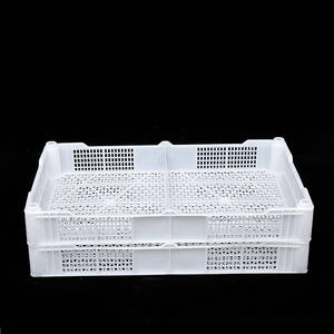 Factory Supply Voedsel Contact Plastic Trays/Krat Voor Bosbes/Bessen/Aardbeien/Bosbessen Oogst - Product Image 5