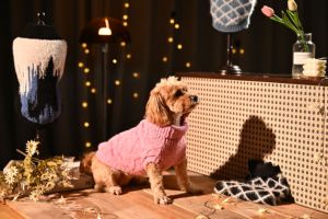 Pull en tricot luxueux et chaud pour animaux de compagnie, en poil de chameau, pour chats et chiens - Product Image 4