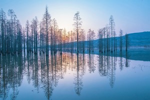 Lienzo de alta calidad, cuadro impermeable moderno Simple, impresiones en lienzo, pinturas de paisaje impresas para sala de estar - Product Image 2