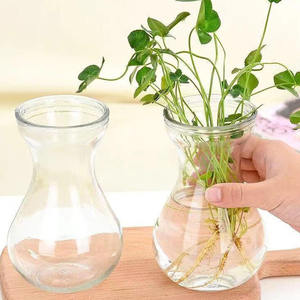 <span class=keywords><strong>Vase</strong></span> de Propagation d'<span class=keywords><strong>Avocat</strong></span> en Verre Clair Avocats Jacinthes Châtaignes Noix <span class=keywords><strong>Vase</strong></span> Bulbe <span class=keywords><strong>Vase</strong></span> en Verre Soufflé - Product Image 5