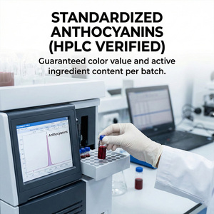 Poudre d'extrait de carotte noire naturelle de haute pureté Anthocyanine Vitamine C Carotène noir Extraction par solvant Qualité alimentaire - Product Image 3