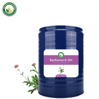 Huile Essentielle de Spikenard (Nardostachys Jatamansi) 100% Pure Distillée à la Vapeur Vente en Gros Aromathérapie Cosmétiques Parfum OEM