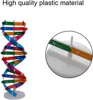 Modelo de ADN, Modelo de Doble Hélice, Componente de Genes Humanos, Kit Molecular de ADN, Modelo Creativo de Espiral Doble para Ciencia
