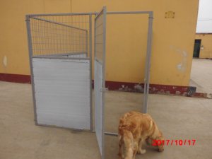 Rumah anjing peliharaan besar kualitas tinggi pemasangan mudah dalam ruangan dan luar ruangan rumah anak anjing kandang hewan peliharaan untuk dijual (XMR) - Product Image 5