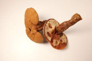 Capsules d'extraits végétaux : Reishi, Withania Somnifera, Shilajit, Ashwagandha (poudre) - Product Image 3