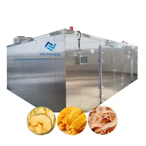 Good quality all in one heat pump Automatic Tomatoes Flake dryer a house for fruit dryer machine cold air dryer machine price