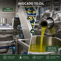 Volledig automatische olijvenvruchten koudpers extractiemachine commerciële productielijn voor extra vierge olijfolie