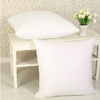 Literie de maison Coussin Inserts Oreiller Décoratif Forme Carrée pour Canapé Canapé Lit Coussin et Oreiller Paquet Personnalisé Étanche