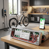 Système BMS intelligent Yanyang Lifepo4 15S pour batterie lithium 70A 100A 15S 48V avec BT CAN pour E-Rickshaw