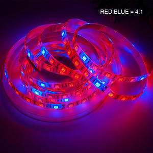 Indoor LED Plant Grow Strip <b>Lights</b> 5 Meter Waterproof 12V Full Spectrum Flexible <b>Light</b> for Hydroponic Greenhouse Home Use - Product Image 2