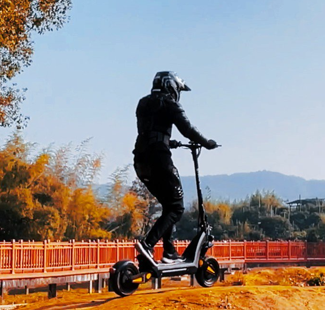 Electric scooter, with excellent performance. Factory direct sale. Affordable price.