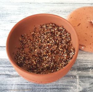 Bán buôn gốm nảy mầm mầm đất sét sprouter Kit đất nung tháp Hạt Giống Nảy mầm khay - Product Image 4